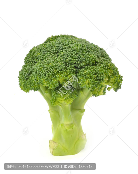 西蘭花中分離