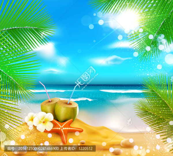 海洋背景；棕櫚樹；椰子雞尾酒；海洋
