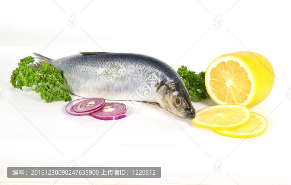 有部和檸檬鯡魚