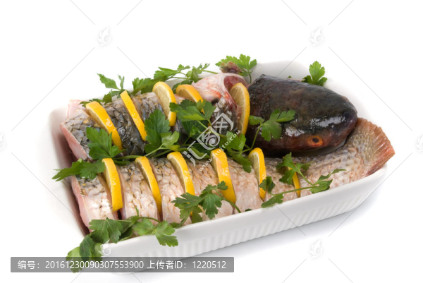 魚