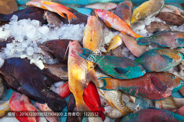市場(chǎng)柜臺(tái)上的生魚