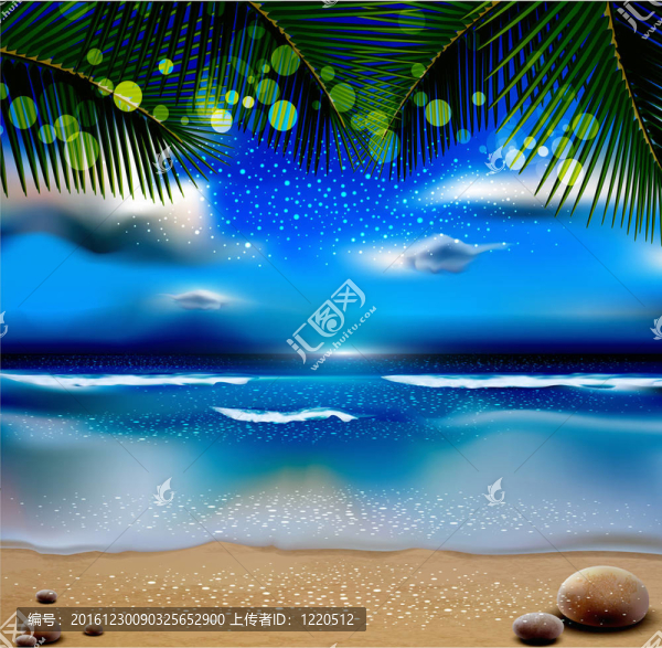 海洋和棕櫚樹的黃昏景觀