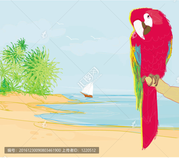 鸚鵡鸚鵡坐