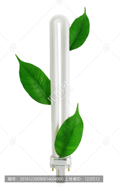 綠色熒光生態(tài)燈