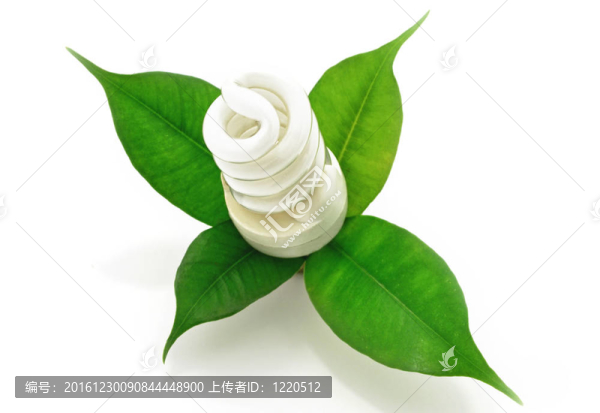 熒光燈生物與綠葉生態(tài)概念
