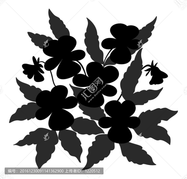 花紫羅蘭輪廓