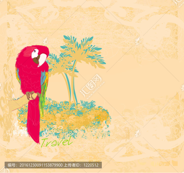 鸚鵡鸚鵡坐