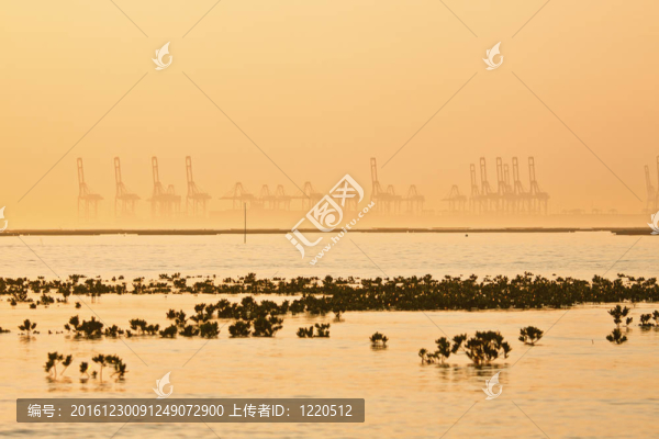 工業(yè)船廠映襯在日落