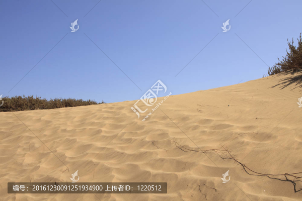 沙丘
