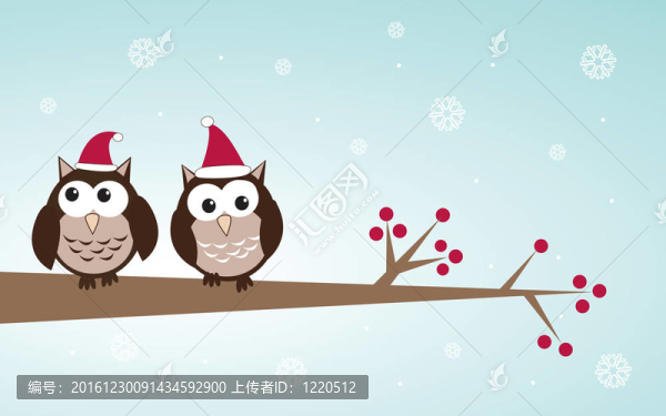 貓頭鷹夫婦圣誕樹枝上的帽子。