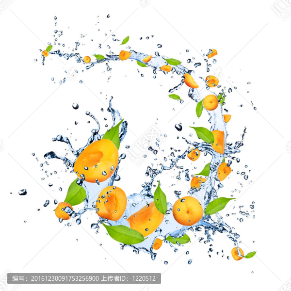 鮮杏落在水花；孤立在白色背景