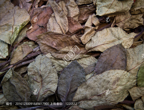 干玫瑰花瓣