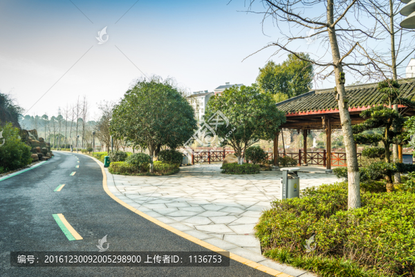 城市綠道
