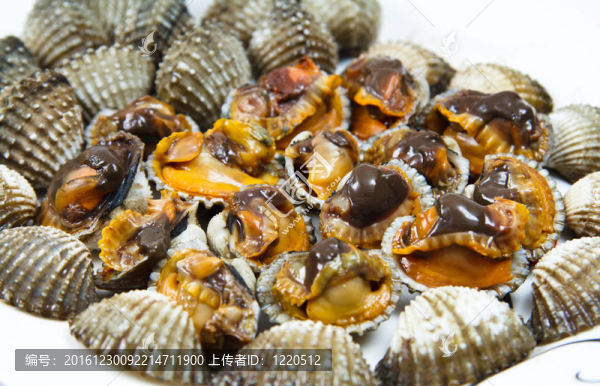 海扇貝
