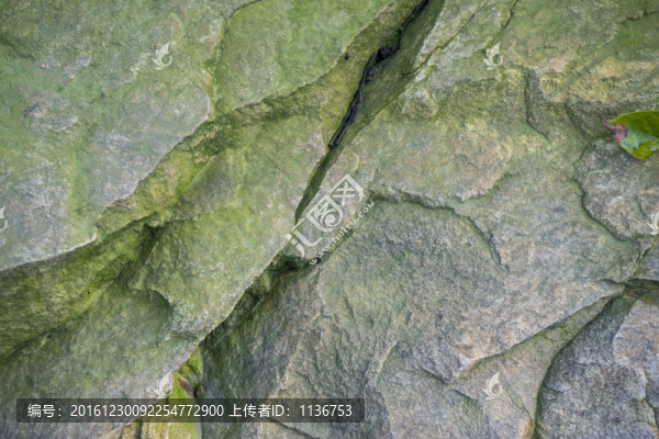 巖石表面紋理