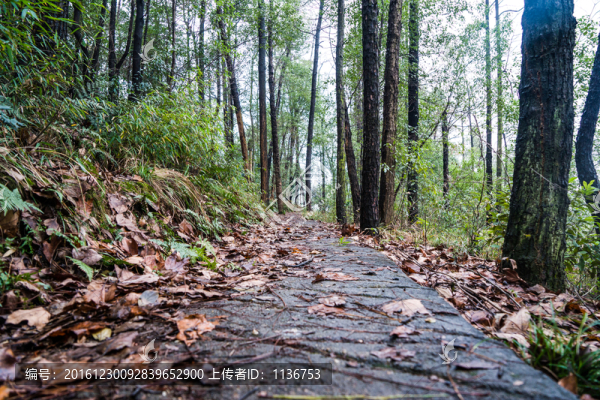 山間小路