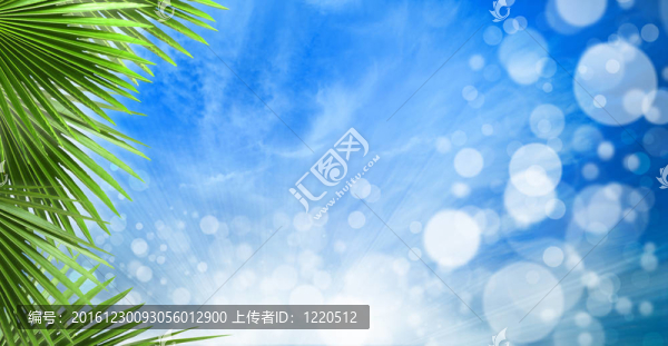 摘要春季的背景與美麗的背景虛化和棕櫚葉