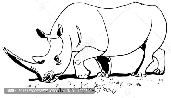 犀牛