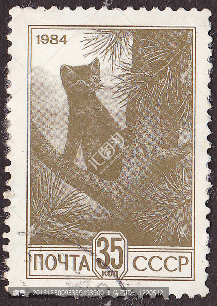 USSR,-大約1984：印刷在USSR郵票顯示貂。大約1984