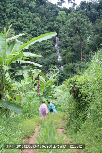 生態(tài)旅游