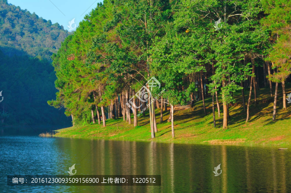 松林國家公園
