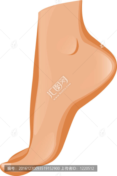 腳的象征。單元設(shè)計(jì)