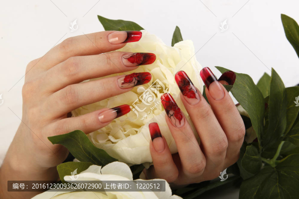 與修女的手；指甲