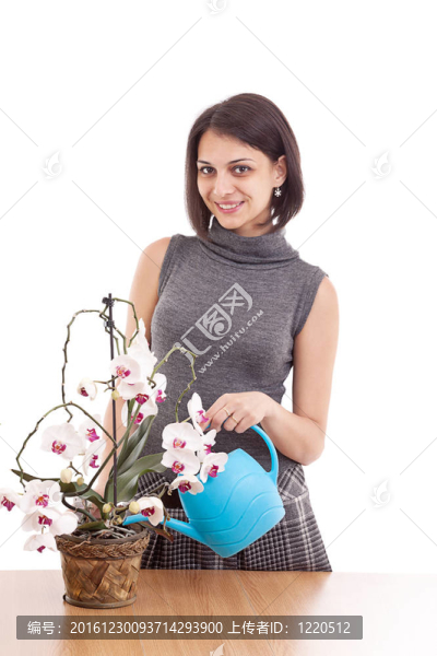 女人澆蘭花