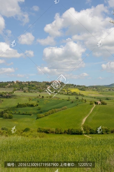 克里特島senesi
