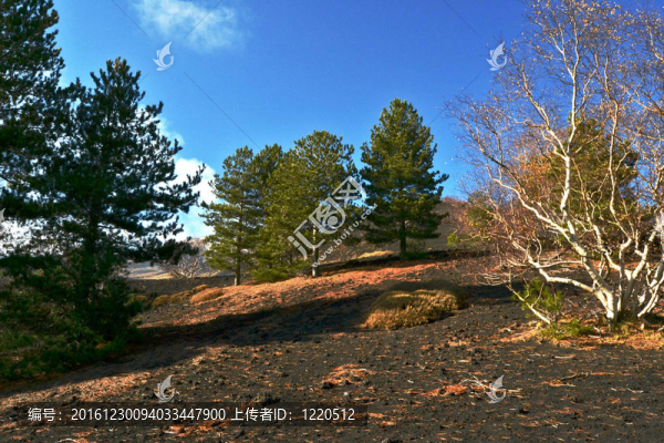 埃特納火山