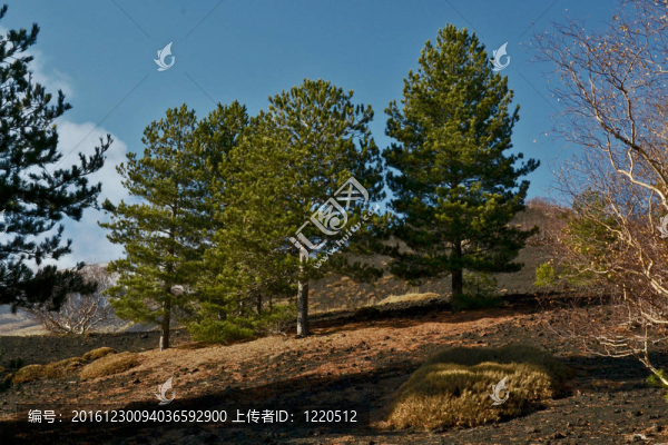 埃特納火山