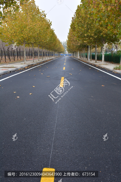 泊油路