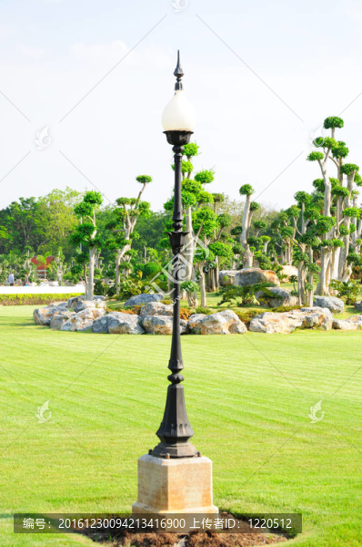 在一個夏天的花園，黑色的燈柱