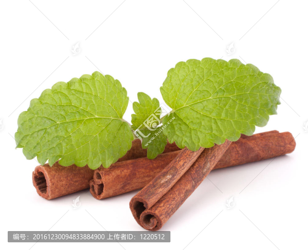 肉桂枝和新鮮薄荷葉