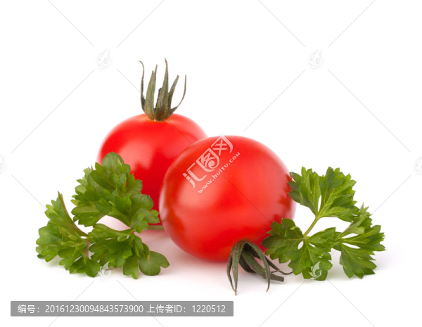 小櫻桃番茄和歐芹香料