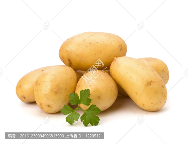 新土豆綠歐芹