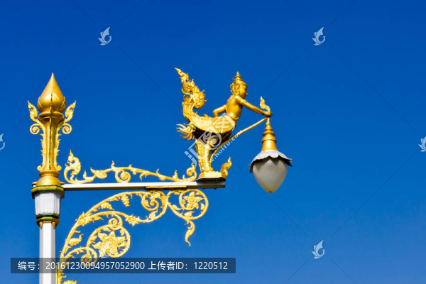 光桿