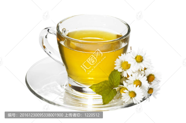 同組菊花洋甘菊花草茶