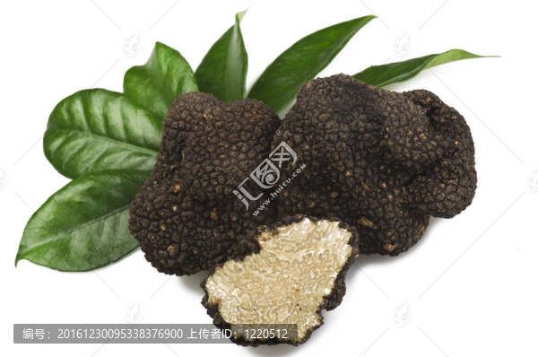 剛收獲的松露切片特寫(xiě)