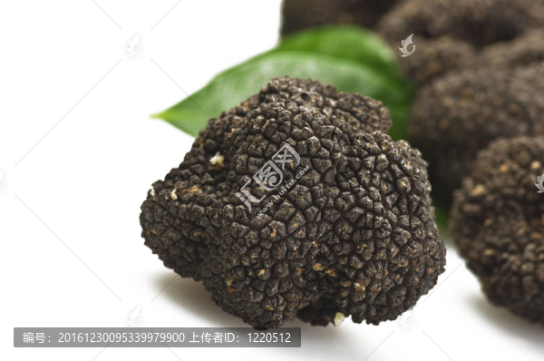 剛收獲的松露切片特寫