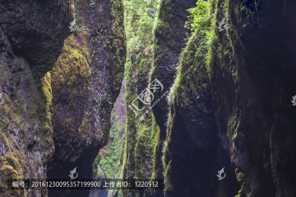 狹窄的綠河峽谷