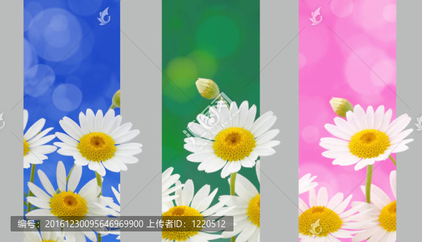 春天的鮮花橫幅