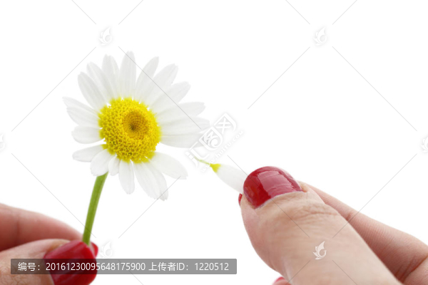 愛我，不愛我