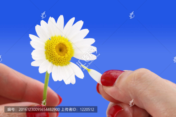 愛我，不愛我