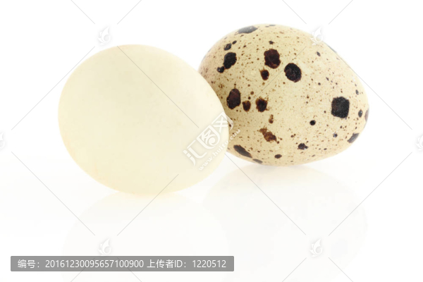 白底鵪鶉蛋。受損皮膚的概念