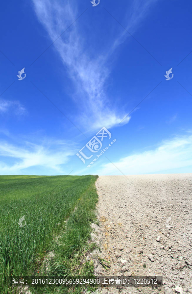 Cloudscape農(nóng)業(yè)領(lǐng)域