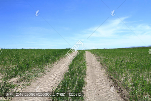 地面道路上山對天空