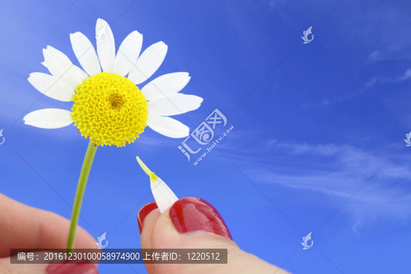 愛我，不愛我