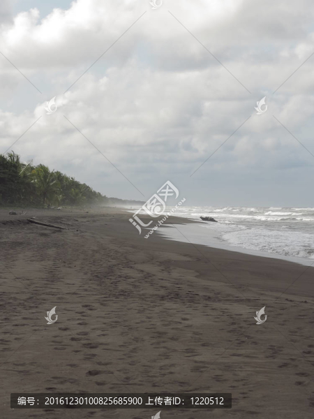 Tortuguero的海灘