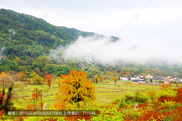 山區(qū)云霧秋色